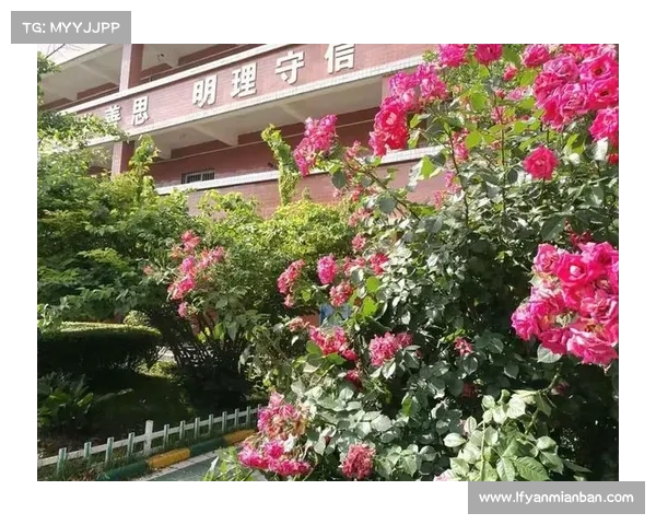 追寻自由与意义在人生旅途中绽放自我光芒开启崭新希望篇章