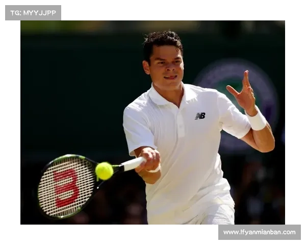 林加德被调侃现象的深层解析及其背后反映的体育文化与媒体现象