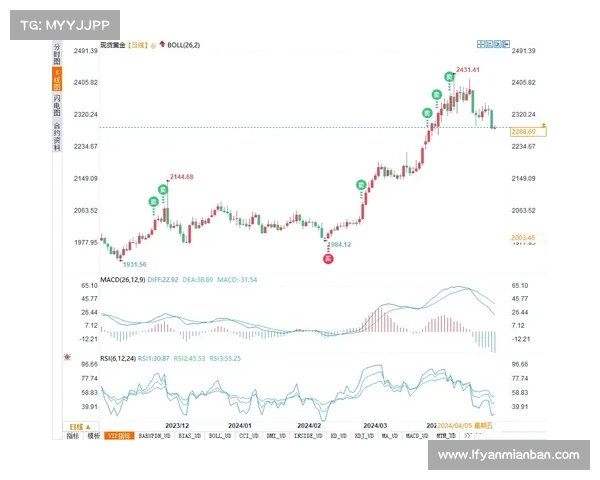 如何评估卢库米转会价值的关键因素与市场动态分析